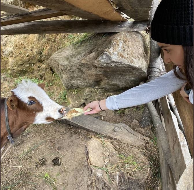She also fed a calf and posed with Virat against the backdrop of beautiful mountains