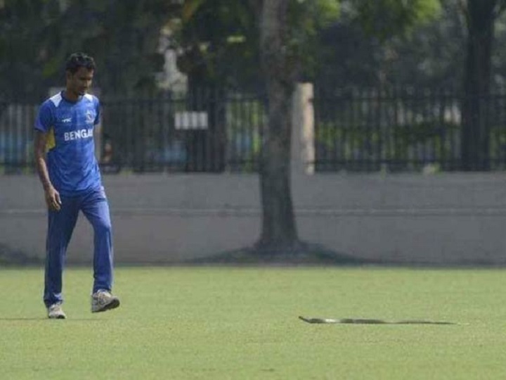 watch snake intrudes onto turf to halt andhra vs vidarbha ranji trophy game WATCH | Snake Intrudes Onto Turf To Halt Andhra vs Vidarbha Ranji Trophy Match