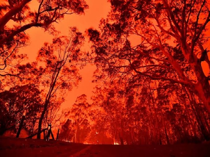 yuvraj terms australias bushfire as tragic calls for global climate change Yuvraj Terms Australia's Bushfire as 'tragic', Calls For Global Climate Change