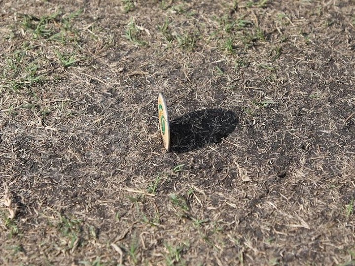 ना छापा, ना काटा... टॉसदरम्यान 'शोले'ची आठवण, नाणं जमिनीवर सरळ पडलं!