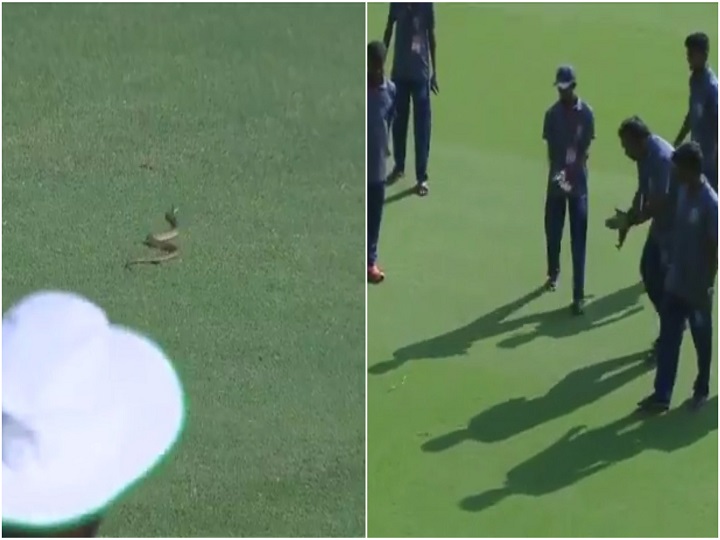 रणजी ट्रॉफी: आंध्र- विदर्भ के मुकाबले के बीच मैदान पर आया सांप, देखें वीडियो